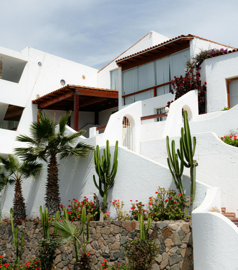 Partenaire terrain Architecte paysagiste du Golfe de Saint-tropez Végétal Passion 83 - Cogolin - Pépinière